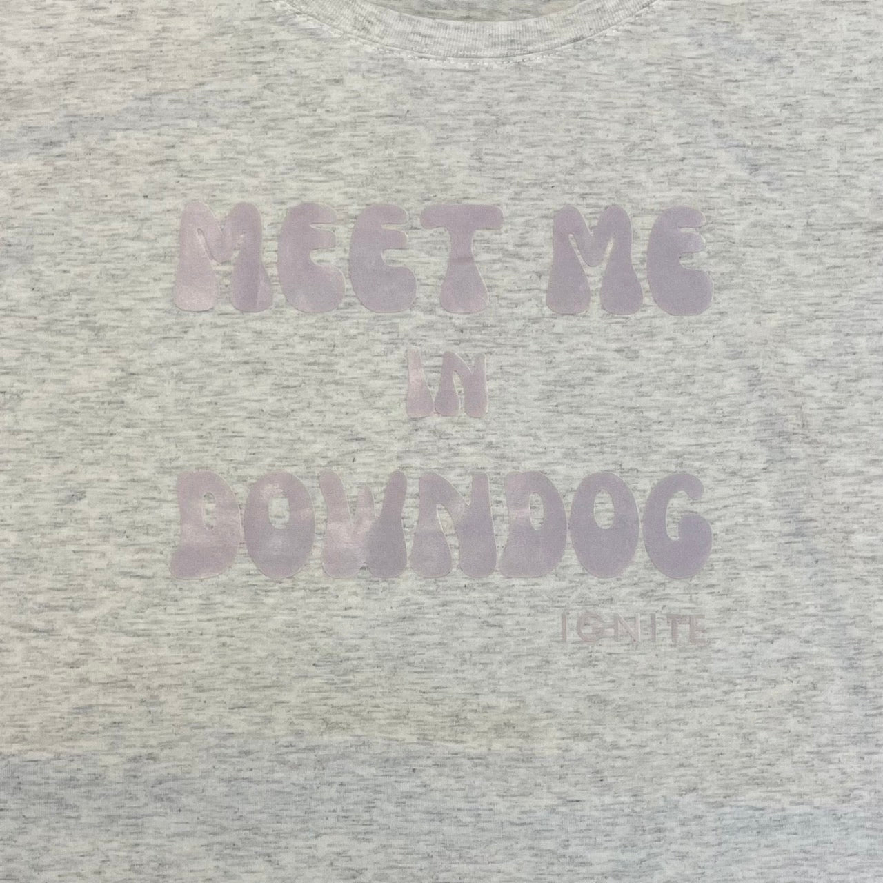 MEET ME IN DOWNDOG T-shirt